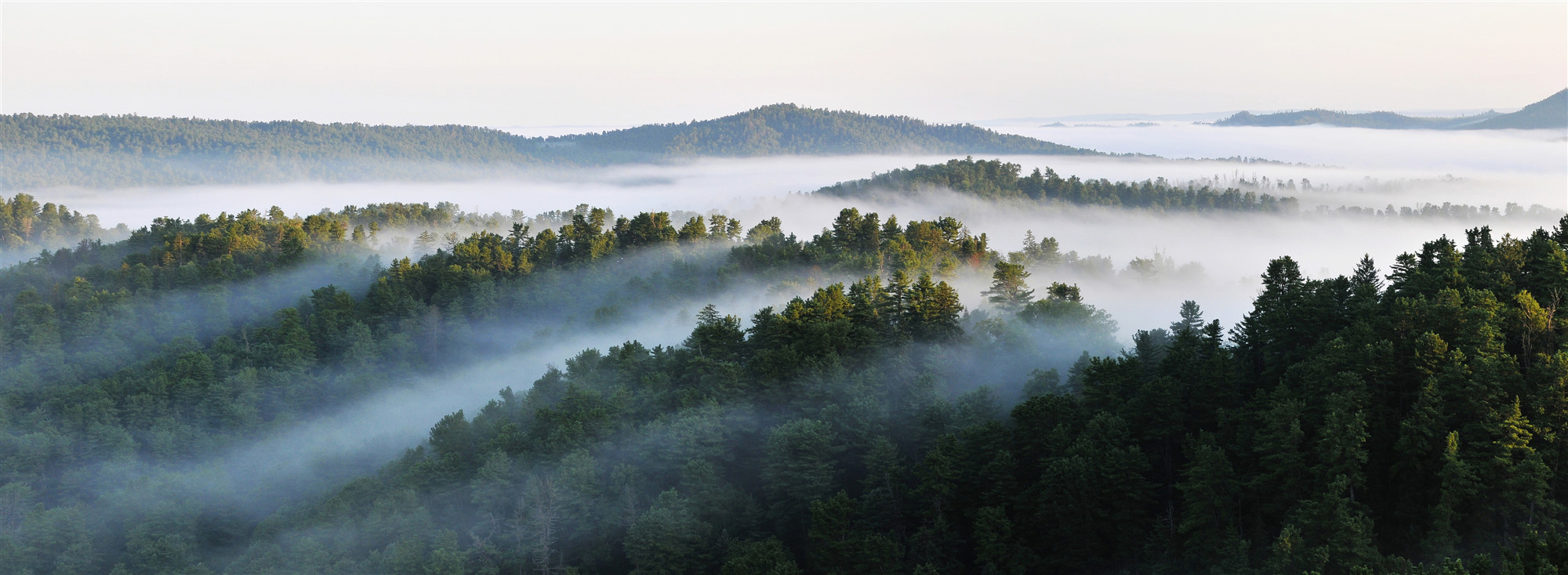 全國首單！龍江森工集團獲得CCER市場重啟後全國首筆CCER項目審定核查雙掛鈎銀行貸款