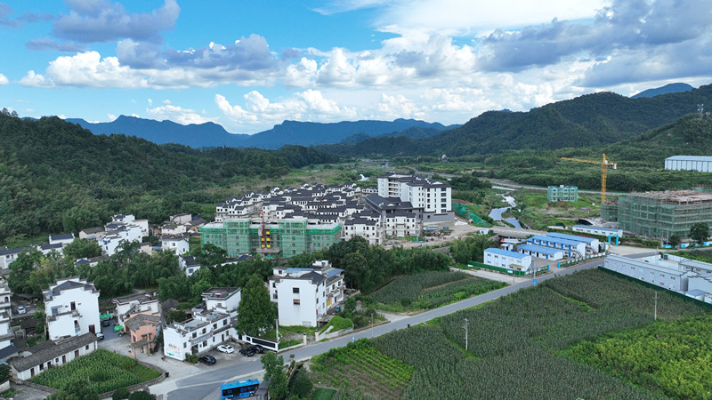 厚植投資興業「沃土」   皖黟縣西遞鎮續力優營商促發展
