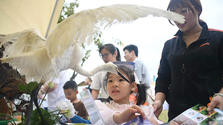 深圳啟動野生動物保護宣傳月活動：保護野生鳥類，共建綠美深圳