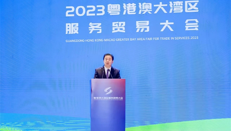 全國政協委員林龍安：冀大灣區建全球貿易數字化領航區
