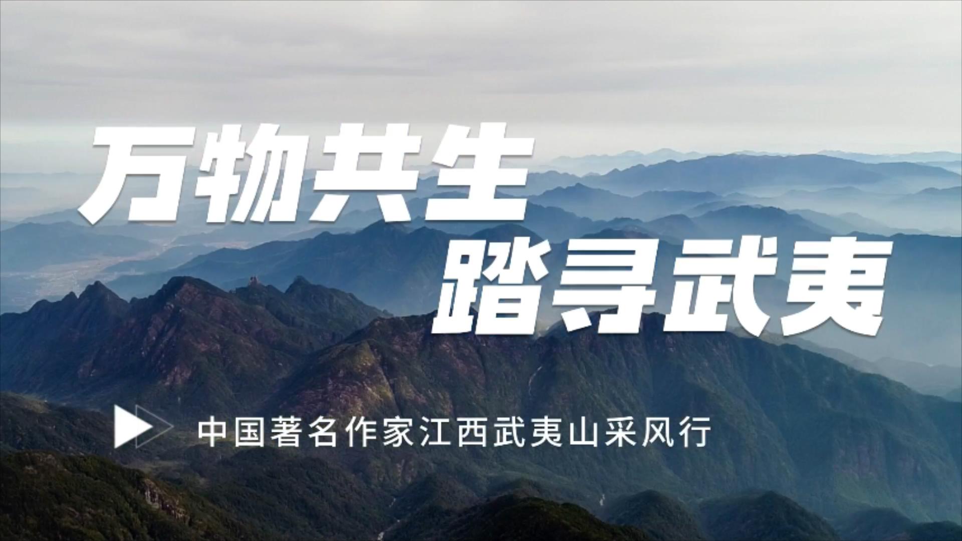 有片【著名作家武夷山采風行】韓小蕙：觸動萬物心靈 描繪守心武夷