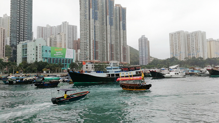 漁護署下月起將為漁民狗隻注射狂犬病疫苗、植入晶片及續領牌照