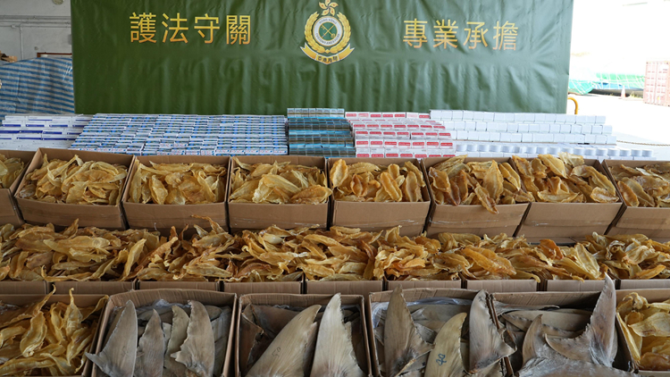 海關葵涌偵破以遠洋船走私貨物案 檢值600萬花膠魚翅等