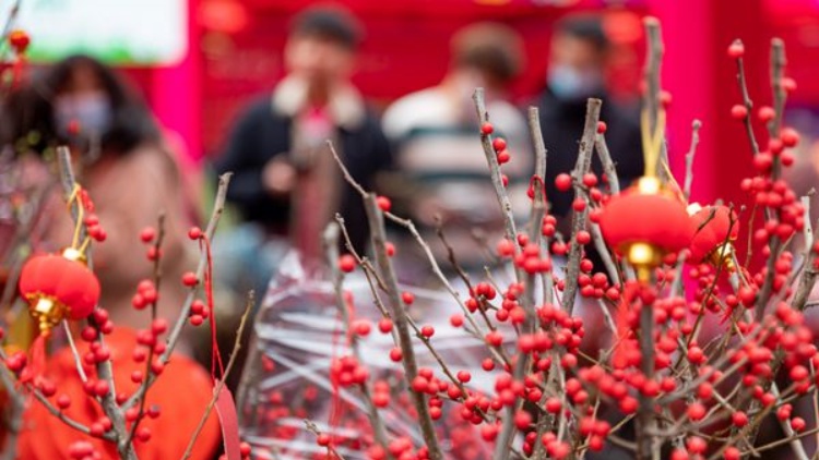 深圳愛國路迎春花市2月3日開市 相關路段交通將臨時調整