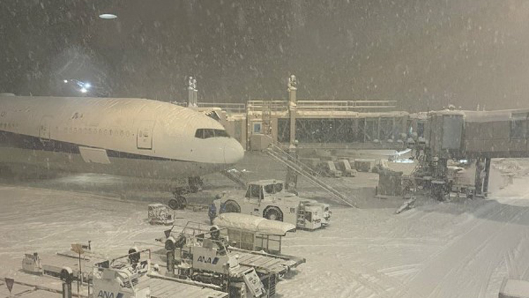 突發！國泰航空與大韓航空飛機日本新千歲機場相撞 暫無人受傷