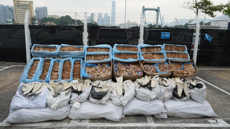 海關東涌偵破快艇走私案 檢值400萬急凍鹿尾等走私貨物