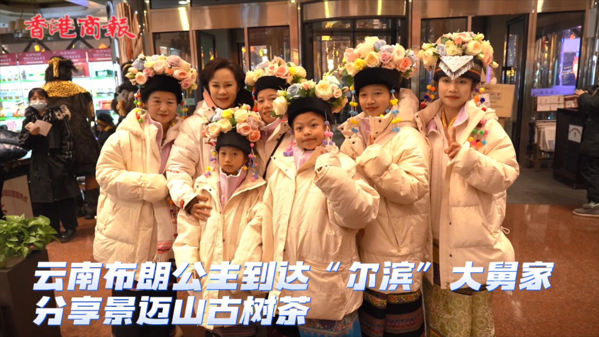 有片｜雲南布朗公主到達「爾濱」大舅家 分享景邁山古樹茶