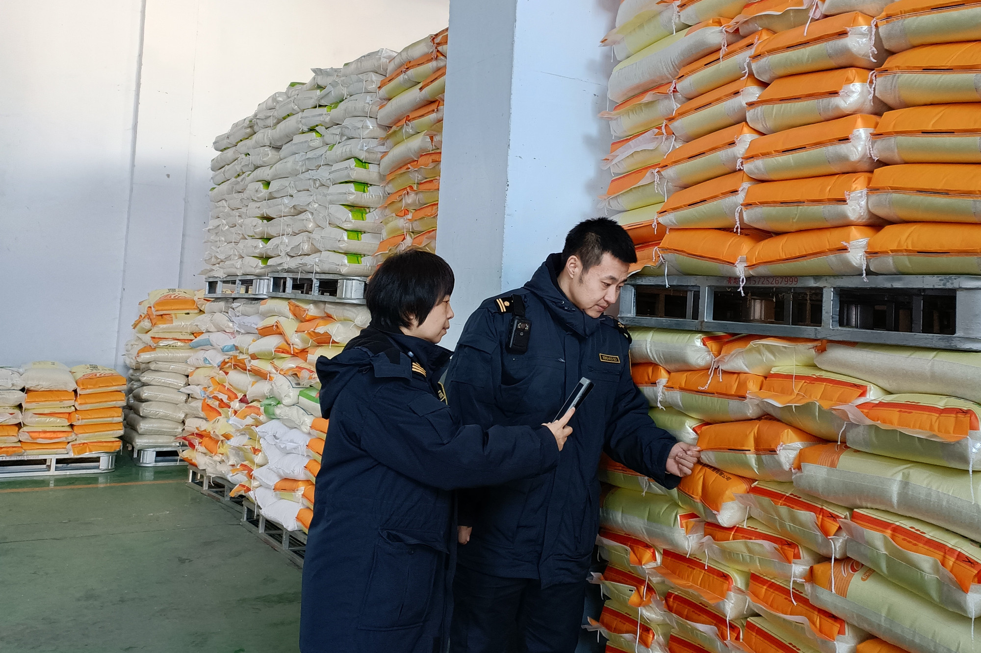 嘉穗出龍江 稻香傳歐亞