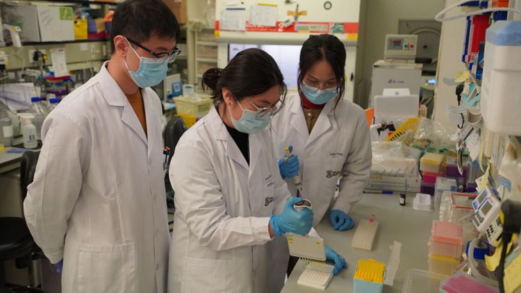 港大醫學院聯合內地團隊研發PD-1增強型DNA疫苗 成功抑制愛滋病病毒