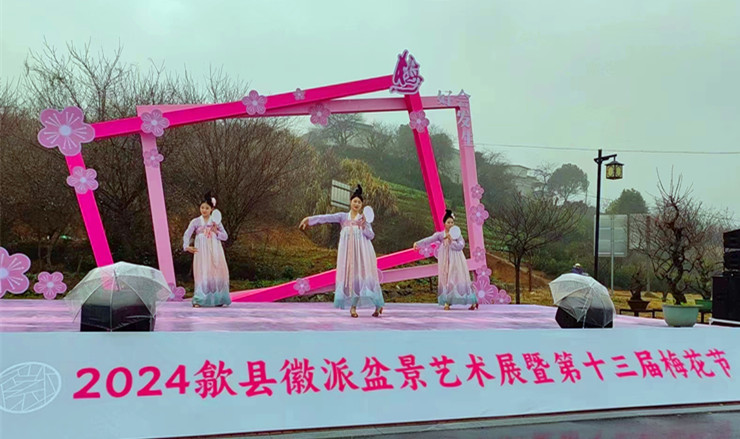 賞梅花攝美景品徽韻 皖歙縣第十三屆梅花節拉帷