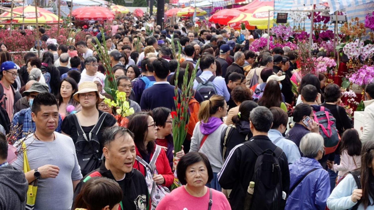 農曆年宵市場2月4日回歸 一連7日在全港15個地點舉行