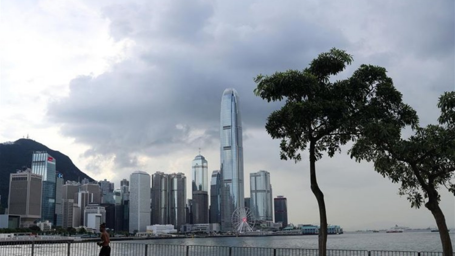 本港農曆新年前氣溫顯著下降 年三十最低溫達11度