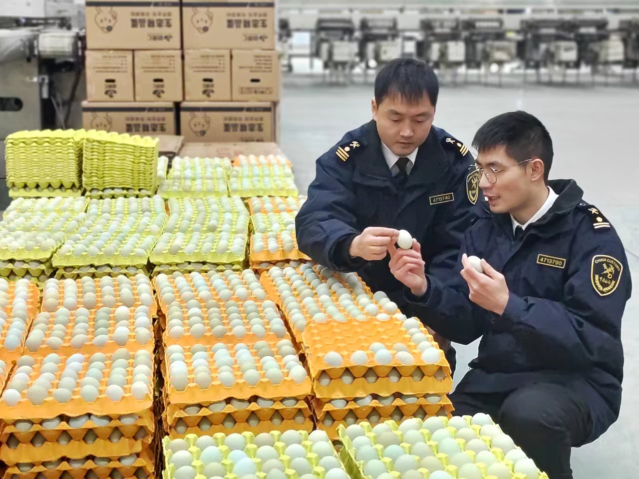 春節通關「不打烊」 湖北農產品源源不斷供應港澳