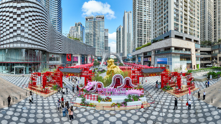 留深過年迎新春 深圳迎春花市開門迎客