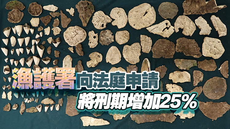 旅客走私135萬土沉香回內地 被判囚30個月