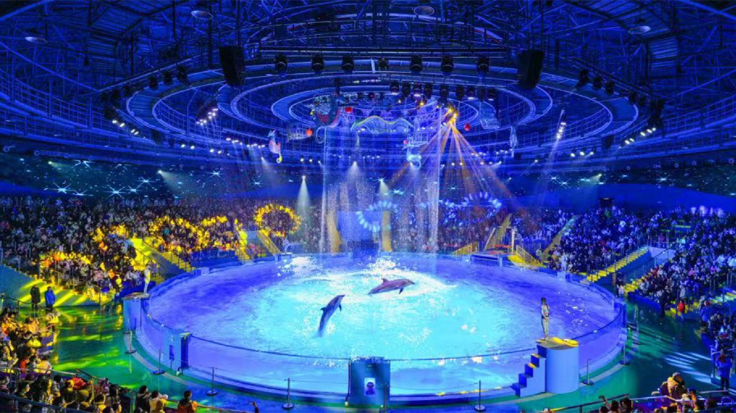 鄭州海昌海洋旅遊度假區春節假期人氣爆棚