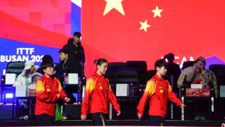 祝賀！國乒女隊釜山世乒賽女團冠軍