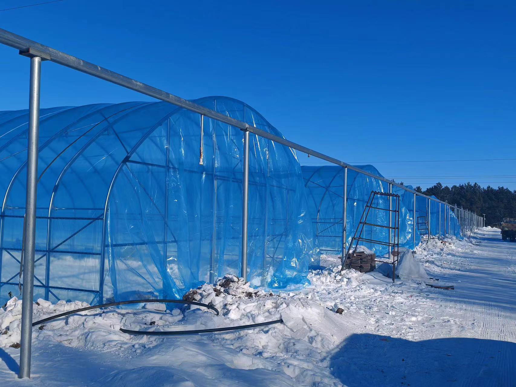 北大荒集團建三江分公司：科學部署 多點發力 按下備耕「快進鍵」