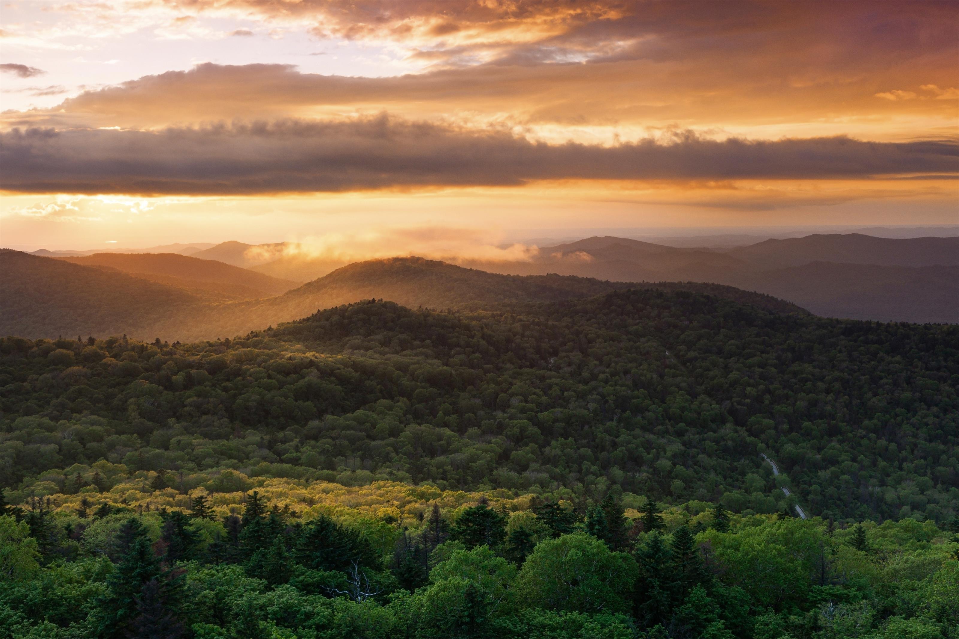 龍江森工集團發布2024年1號林長令