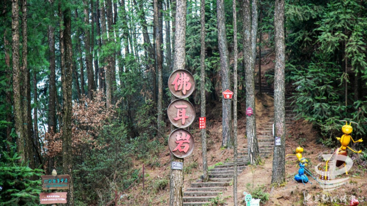 【康養中國】忠縣大嶺佛耳岩成為重慶市第二批森林康養基地