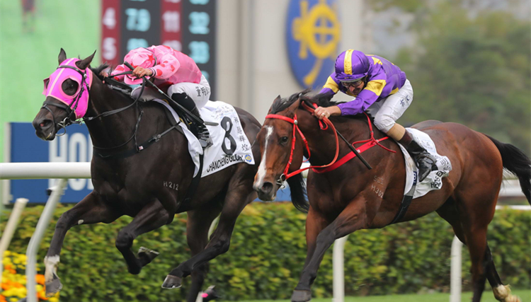 有片 | 險勝禪勝輝煌捧走香港經典盃  驕陽明駒4歲三冠王叫胡