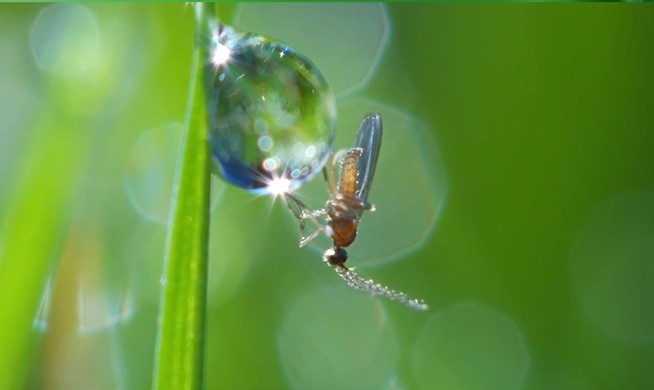 【視聽山東】驚蟄