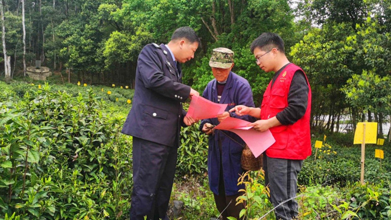 「雨露計劃+技能增收」 皖黟縣美溪鄉守牢底線精準幫扶