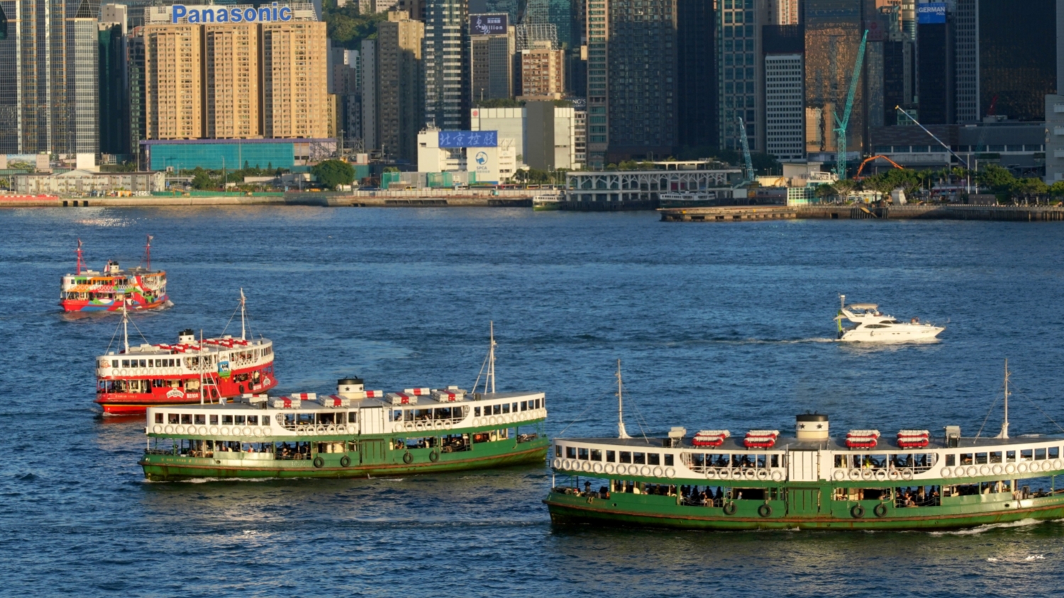文體旅局請市民今日免費乘渡輪來往尖沙咀