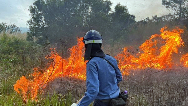 南丫島對開鹿洲發生山火 保安局籲市民掃墓勿留下火種