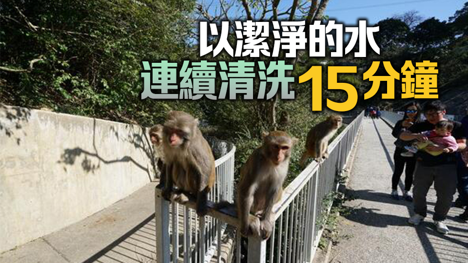 何栢良：猴疱疹病毒感染人類極罕見 應5分鐘內清洗傷口