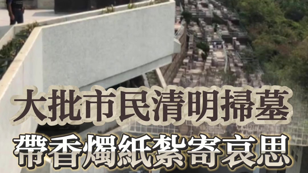 有片｜大批市民清明掃墓 帶香燭紙紮寄哀思