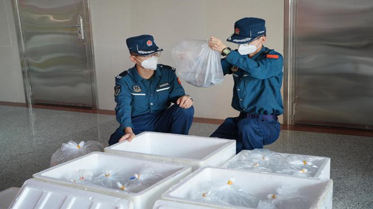 深圳海警截獲案值200萬元「水中軟黃金」