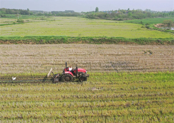 安徽巢湖：「鐵牛」歡騰鬧春耕
