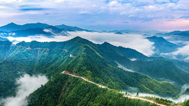 一杯熱茶暖人心  皖歙縣徽州天路日迎客過萬