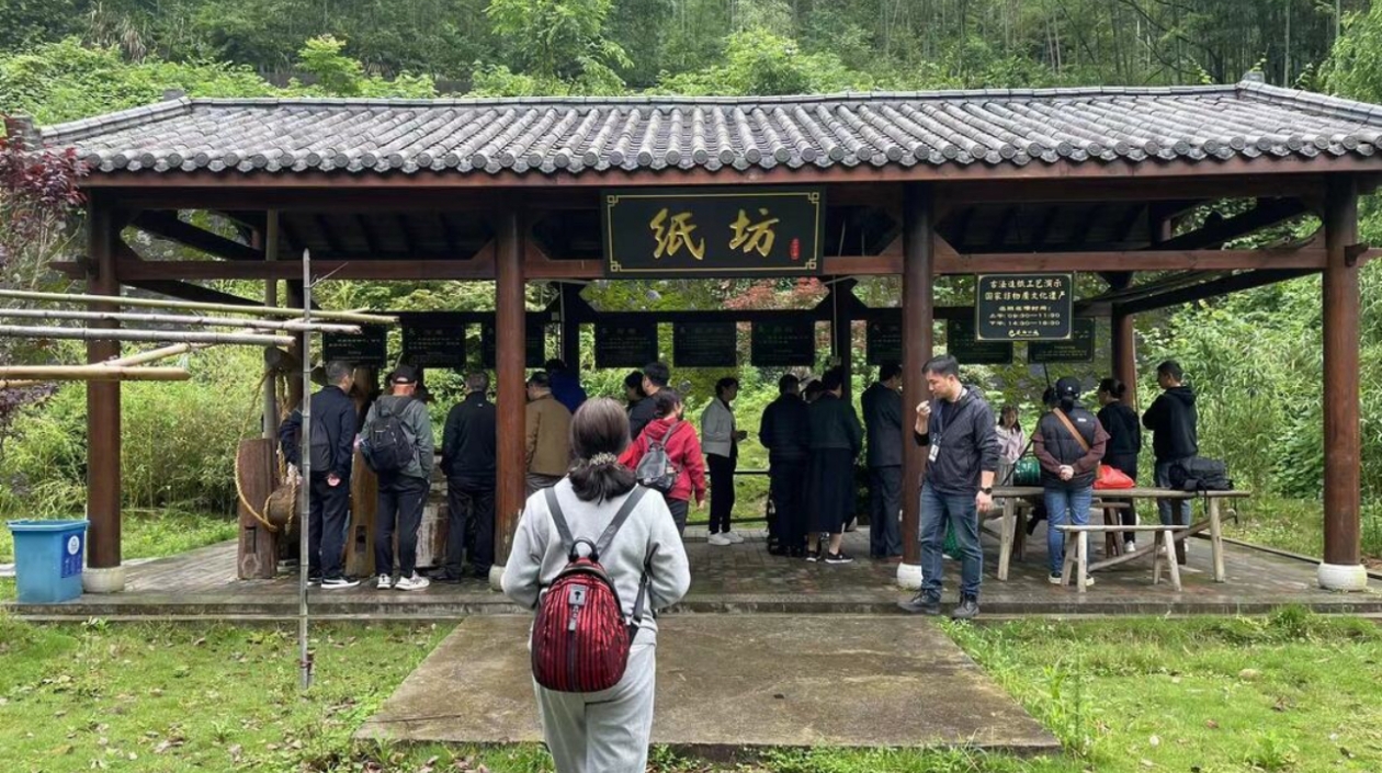 耒陽市：在萬畝竹海中暢享五一假期