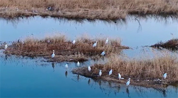 【視聽山東】汶水翔跡