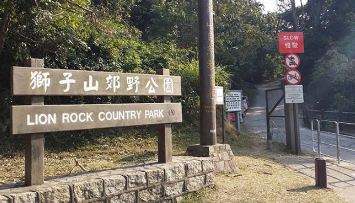 62歲男子行獅子山失蹤 被發現倒臥樹林不治