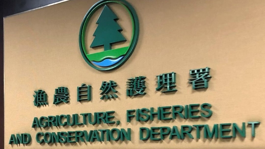 漁護署籲市民勿不當放生 適時派員巡查