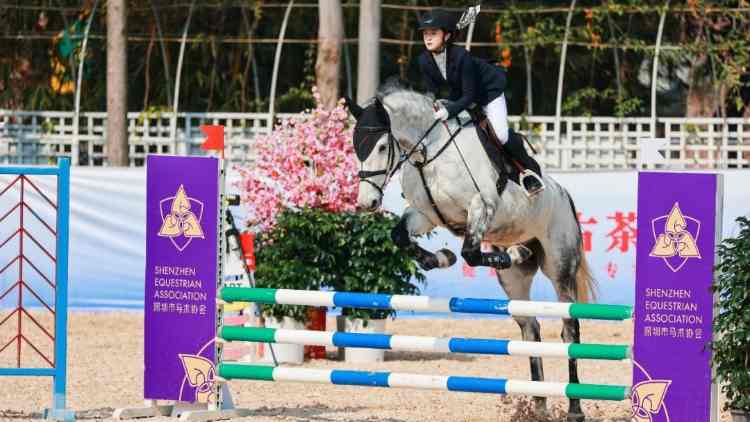 首屆深灣國際馬文化產業博覽交易會亮相第二十屆文博會