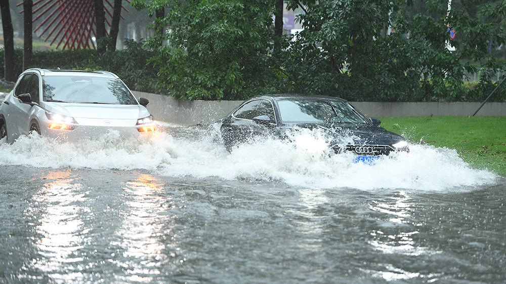 「龍舟水」將至！深圳周日起暴雨風險高
