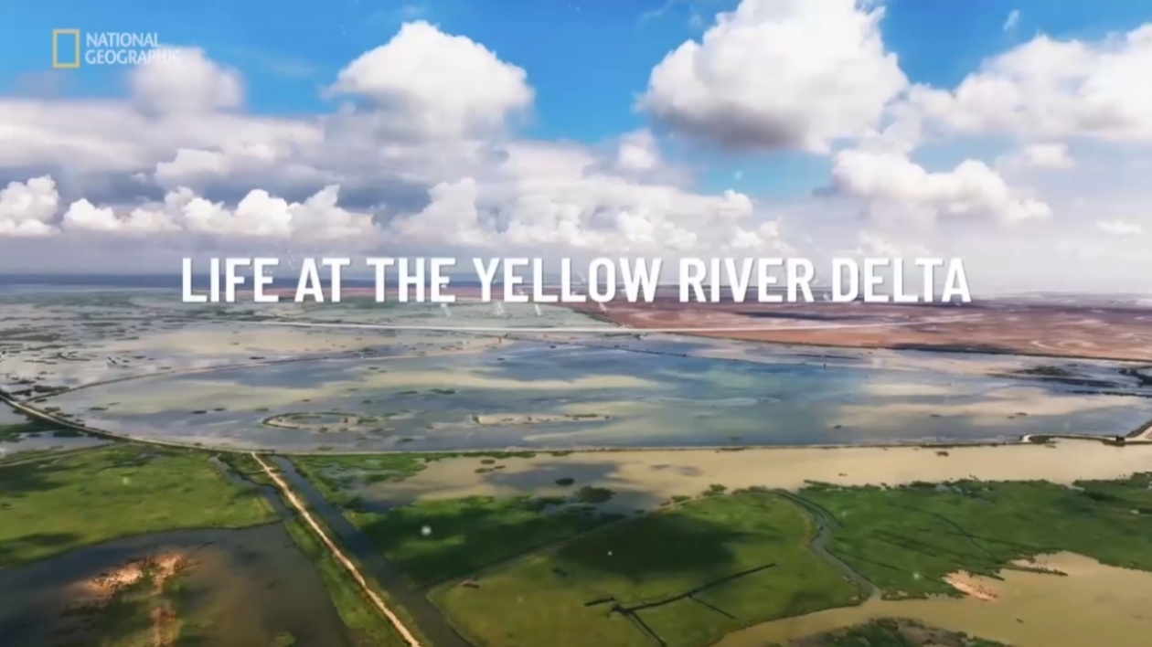 泰利獎公布 《大河之洲》包攬三項大獎