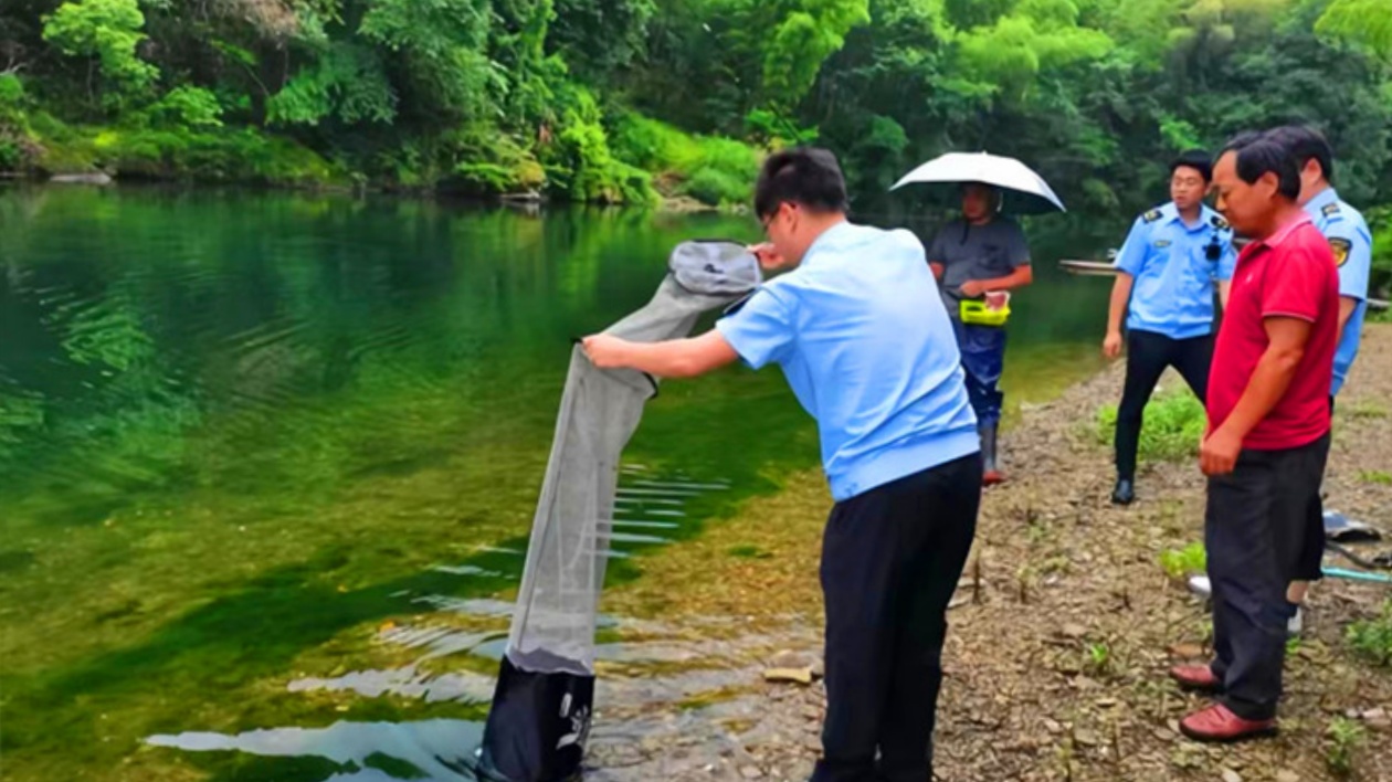 皖黟縣美溪：落力禁漁護清溪  小流域現風景線