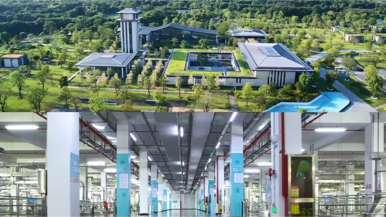 探地下17米工廠  看綠稅繪製綠美廣東