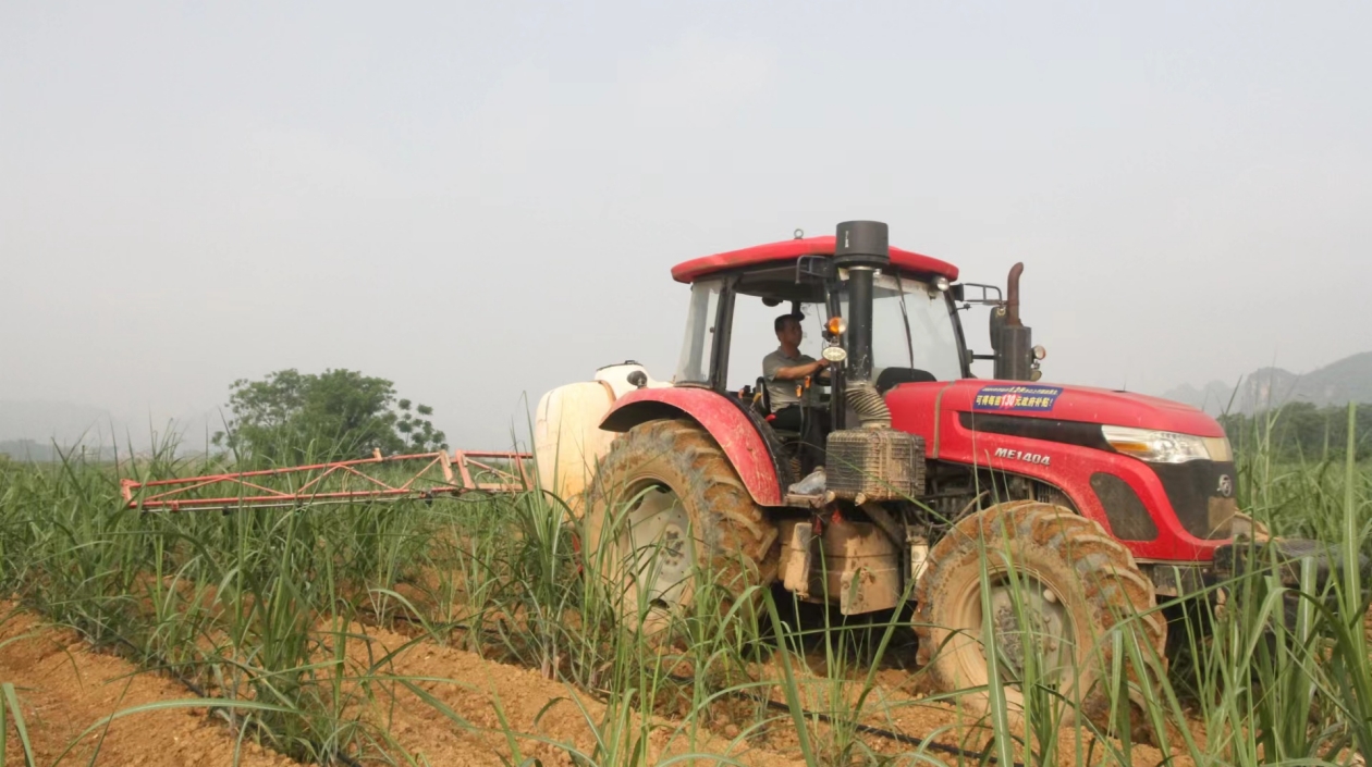 桂扶綏以新質生產力賦能甘蔗機械化新程