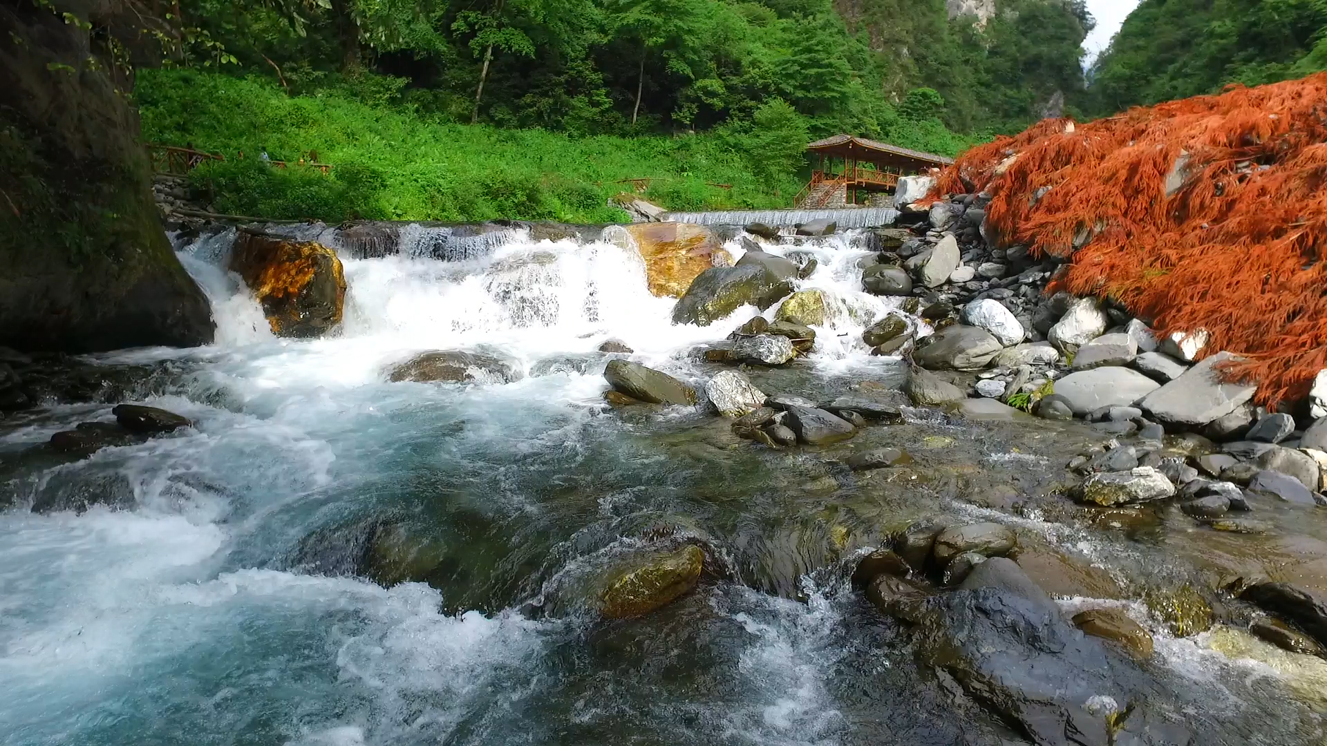 擦亮生態底色 四川綿陽北川持续賦能綠色發展