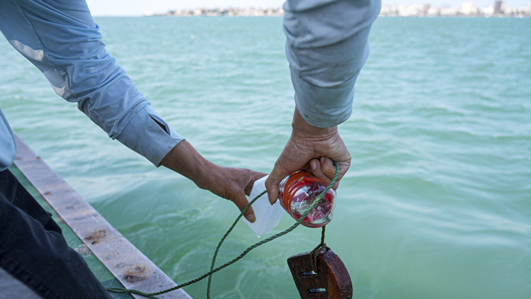 廣東海洋經濟總量連續29年居中國首位