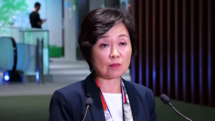 蔡若蓮：政府就港大事宜成立調研小組 主要目的是釐清事實協調溝通