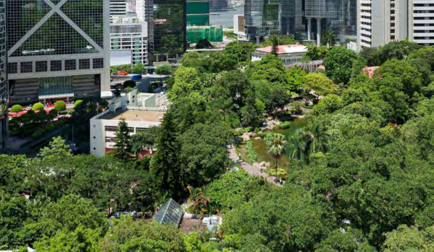 【商報時評】發展氫能經濟 推動綠色轉型