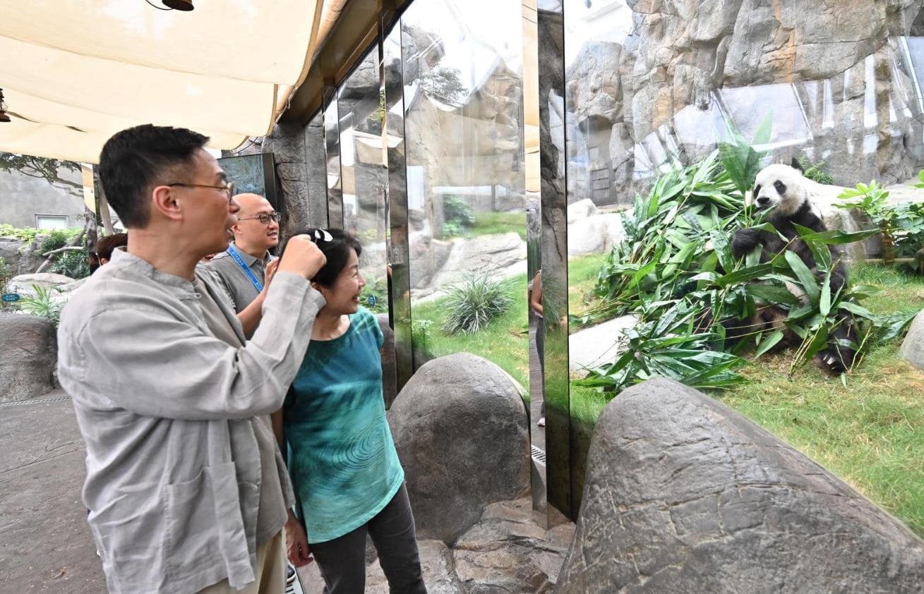 消息：楊潤雄將率團赴川商討大熊貓來港細節