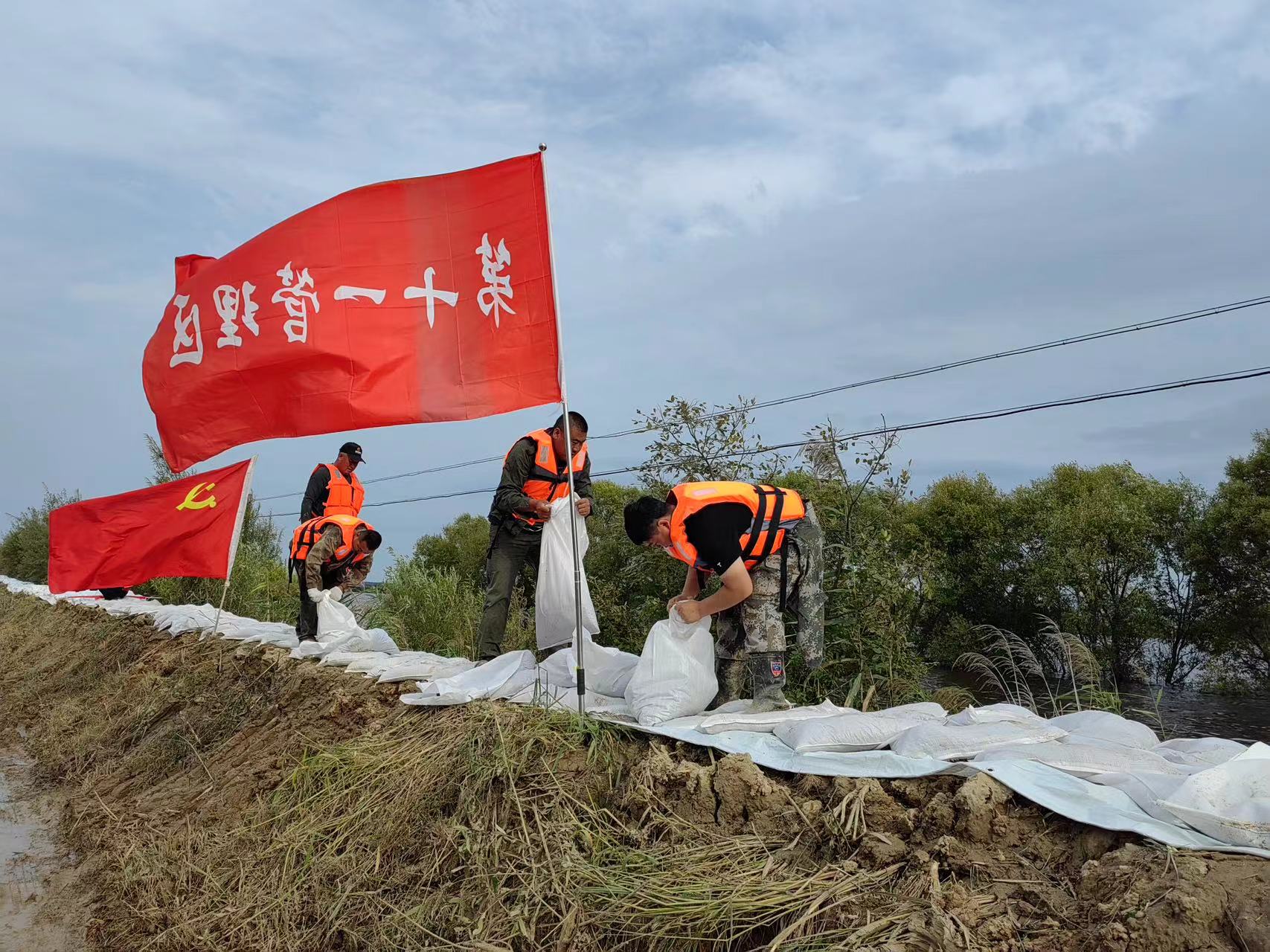 北大荒集團建三江分公司：干群奮戰防汛一線全力保糧顯擔當